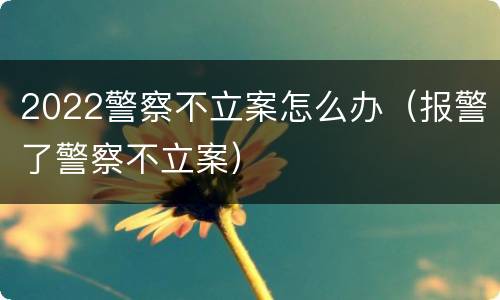 2022警察不立案怎么办（报警了警察不立案）