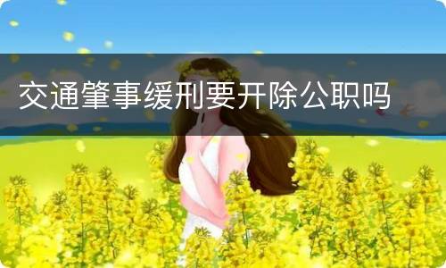 交通肇事缓刑要开除公职吗