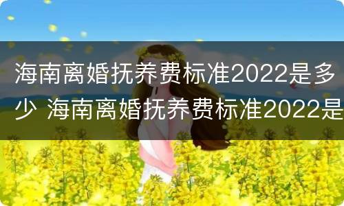 海南离婚抚养费标准2022是多少 海南离婚抚养费标准2022是多少呢
