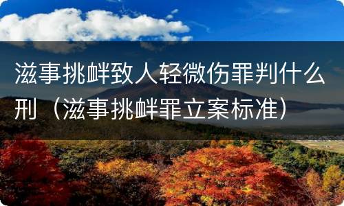滋事挑衅致人轻微伤罪判什么刑（滋事挑衅罪立案标准）
