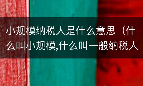 小规模纳税人是什么意思（什么叫小规模,什么叫一般纳税人?）