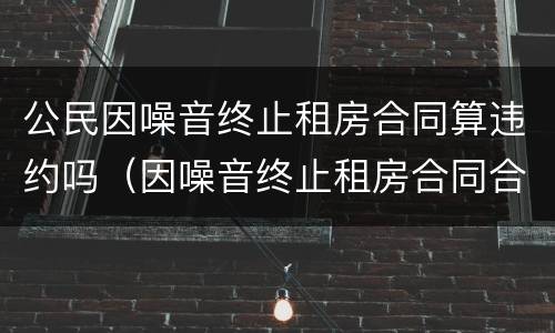 公民因噪音终止租房合同算违约吗（因噪音终止租房合同合法吗）