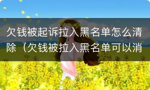 欠钱被起诉拉入黑名单怎么清除（欠钱被拉入黑名单可以消除吗）