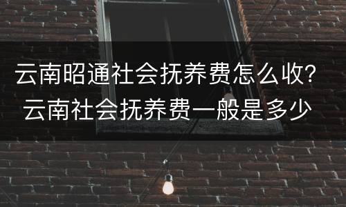 云南昭通社会抚养费怎么收？ 云南社会抚养费一般是多少
