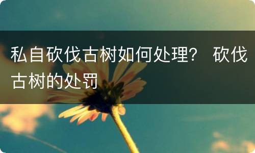 私自砍伐古树如何处理？ 砍伐古树的处罚