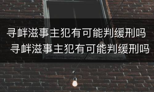 寻衅滋事主犯有可能判缓刑吗 寻衅滋事主犯有可能判缓刑吗知乎