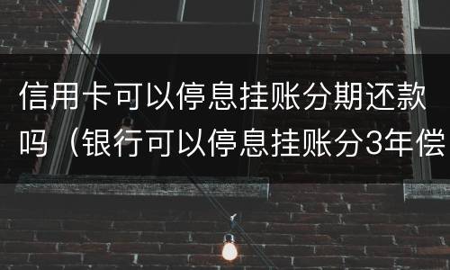 信用卡可以停息挂账分期还款吗（银行可以停息挂账分3年偿还信用卡吗）