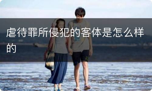 虐待罪所侵犯的客体是怎么样的