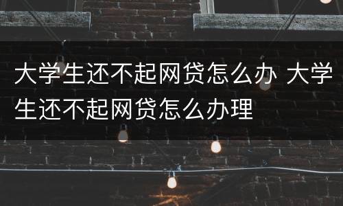 大学生还不起网贷怎么办 大学生还不起网贷怎么办理
