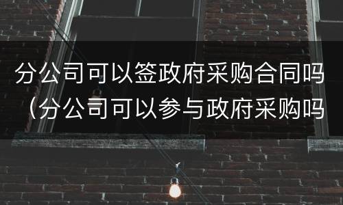 分公司可以签政府采购合同吗（分公司可以参与政府采购吗）