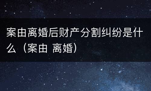 案由离婚后财产分割纠纷是什么（案由 离婚）