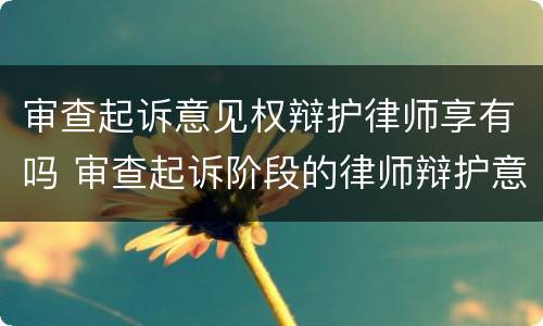 审查起诉意见权辩护律师享有吗 审查起诉阶段的律师辩护意见