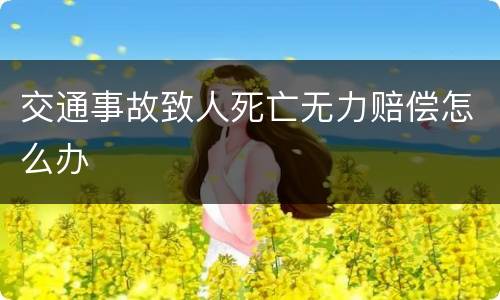 交通事故致人死亡无力赔偿怎么办