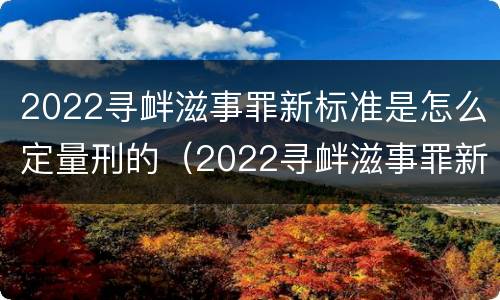 2022寻衅滋事罪新标准是怎么定量刑的（2022寻衅滋事罪新标准是怎么定量刑的呢）
