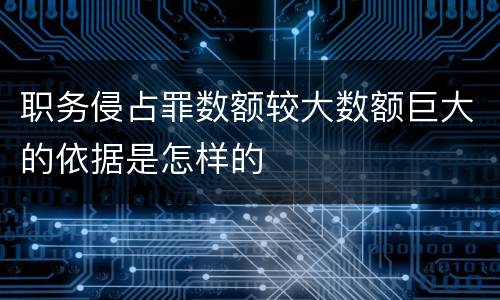职务侵占罪数额较大数额巨大的依据是怎样的