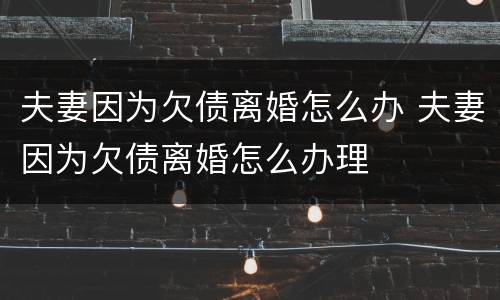 夫妻因为欠债离婚怎么办 夫妻因为欠债离婚怎么办理