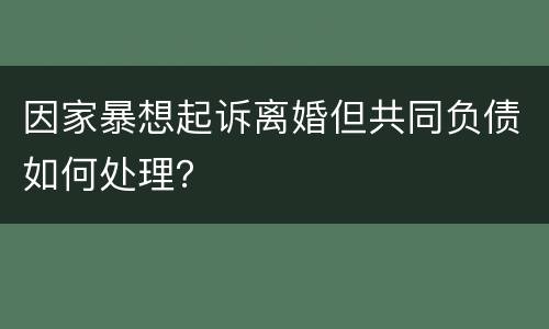 因家暴想起诉离婚但共同负债如何处理？