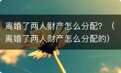 离婚了两人财产怎么分配？（离婚了两人财产怎么分配的）