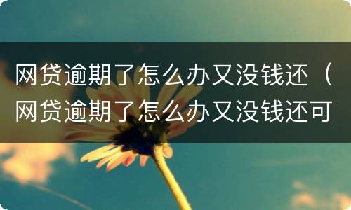 网贷逾期了怎么办又没钱还（网贷逾期了怎么办又没钱还可以只还本金不还利息么）
