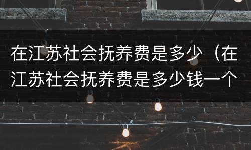 在江苏社会抚养费是多少（在江苏社会抚养费是多少钱一个月）