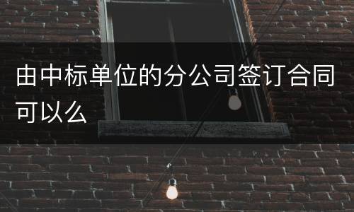由中标单位的分公司签订合同可以么