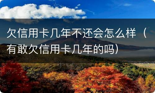 欠信用卡几年不还会怎么样（有敢欠信用卡几年的吗）
