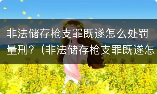 非法储存枪支罪既遂怎么处罚量刑?（非法储存枪支罪既遂怎么处罚量刑多少）