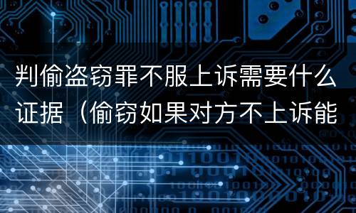 判偷盗窃罪不服上诉需要什么证据（偷窃如果对方不上诉能保嘛）