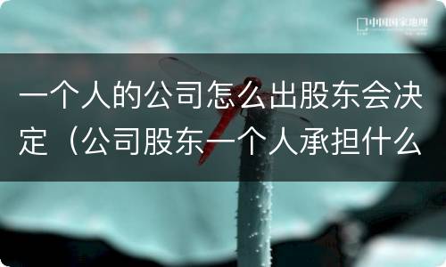 一个人的公司怎么出股东会决定（公司股东一个人承担什么责任）