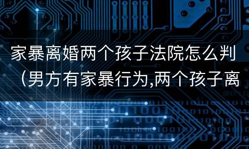 家暴离婚两个孩子法院怎么判（男方有家暴行为,两个孩子离婚怎么判）