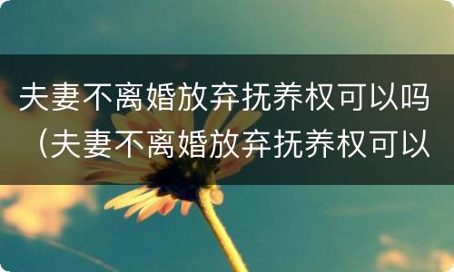 夫妻不离婚放弃抚养权可以吗（夫妻不离婚放弃抚养权可以吗知乎）