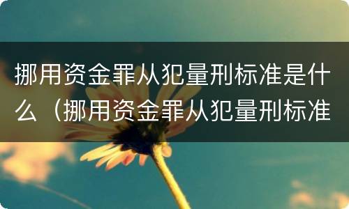 挪用资金罪从犯量刑标准是什么（挪用资金罪从犯量刑标准是什么）