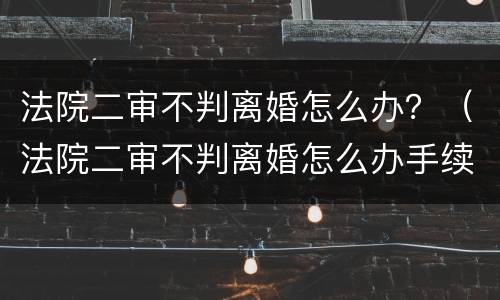 法院二审不判离婚怎么办？（法院二审不判离婚怎么办手续）