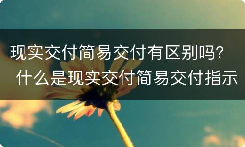 现实交付简易交付有区别吗？ 什么是现实交付简易交付指示交付