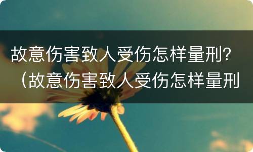 故意伤害致人受伤怎样量刑？（故意伤害致人受伤怎样量刑的）