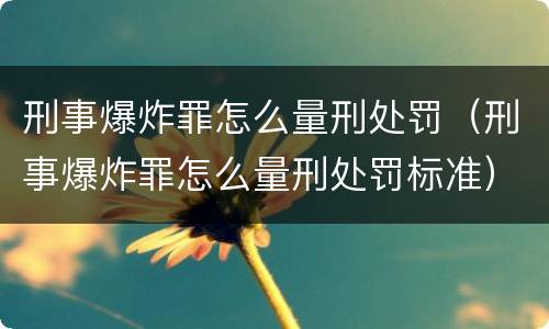 刑事爆炸罪怎么量刑处罚（刑事爆炸罪怎么量刑处罚标准）