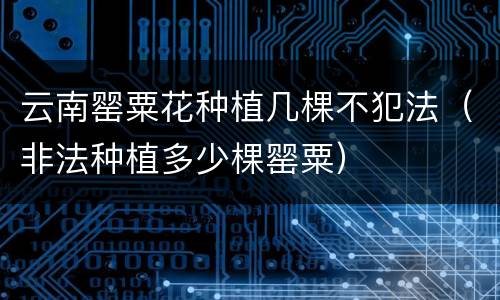 云南罂粟花种植几棵不犯法（非法种植多少棵罂粟）