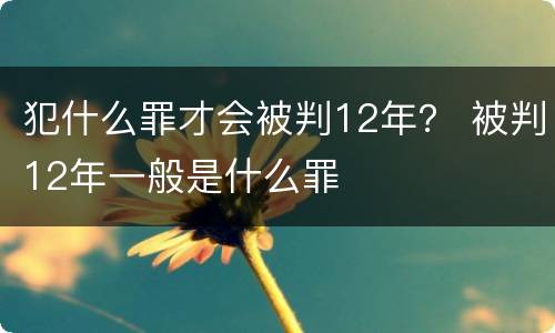 犯什么罪才会被判12年？ 被判12年一般是什么罪