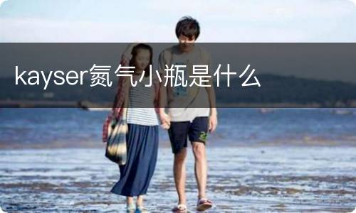 kayser氮气小瓶是什么