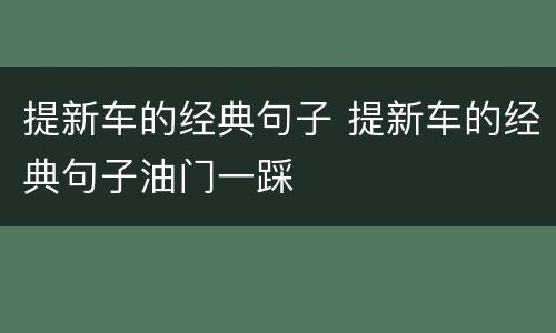 提新车的经典句子 提新车的经典句子油门一踩