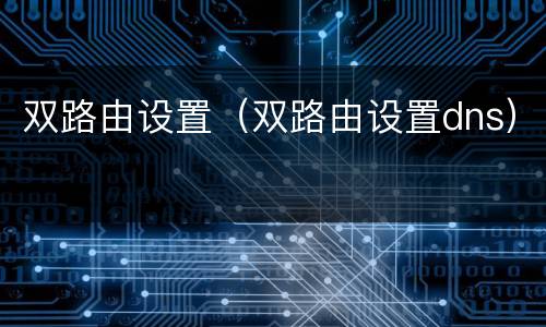 双路由设置（双路由设置dns）