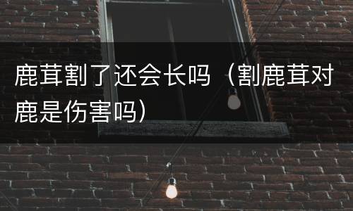 鹿茸割了还会长吗（割鹿茸对鹿是伤害吗）