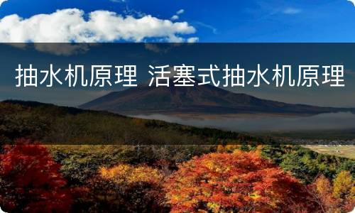 抽水机原理 活塞式抽水机原理