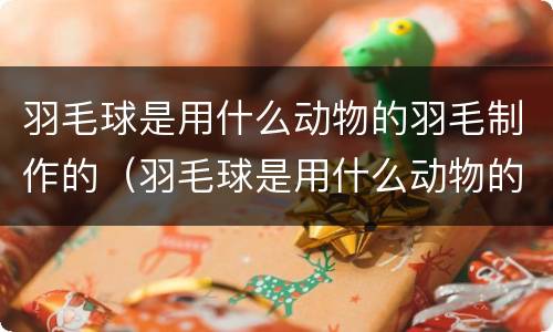 羽毛球是用什么动物的羽毛制作的（羽毛球是用什么动物的羽毛制作的英语）