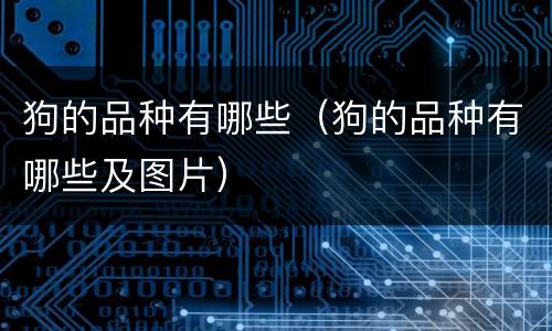 狗的品种有哪些（狗的品种有哪些及图片）