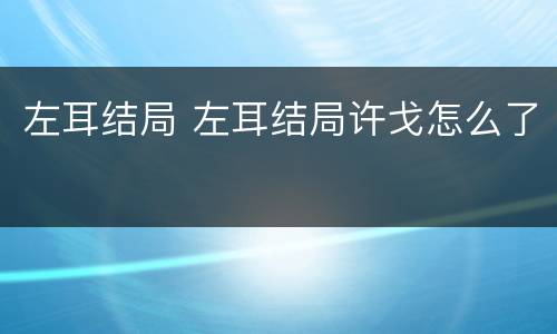 左耳结局 左耳结局许戈怎么了