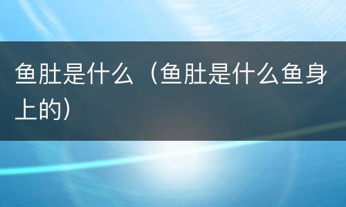 鱼肚是什么（鱼肚是什么鱼身上的）