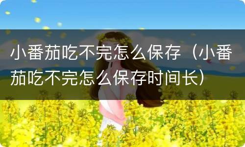 小番茄吃不完怎么保存（小番茄吃不完怎么保存时间长）