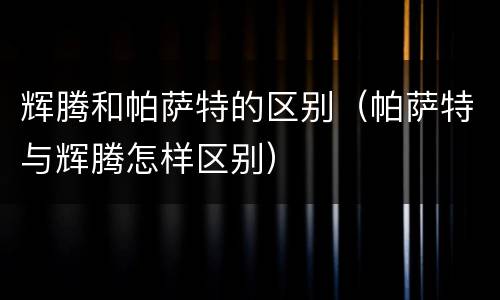 辉腾和帕萨特的区别（帕萨特与辉腾怎样区别）