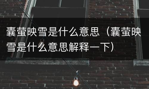 囊萤映雪是什么意思（囊萤映雪是什么意思解释一下）